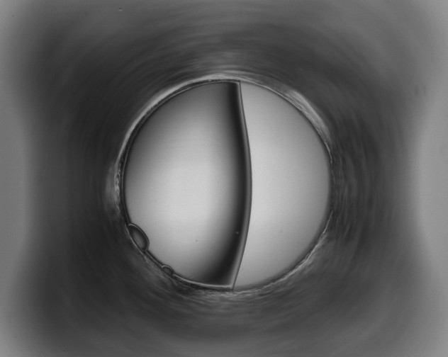 X0000099491292200805150920