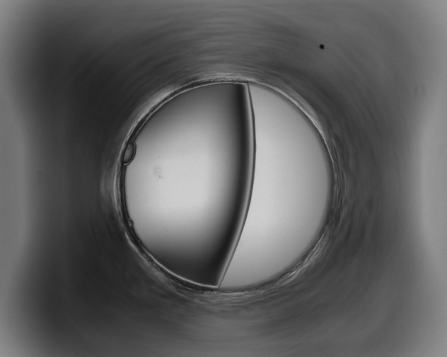 X0000099491293200805150920