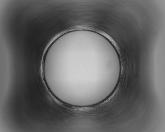 X0000099491294200805150920