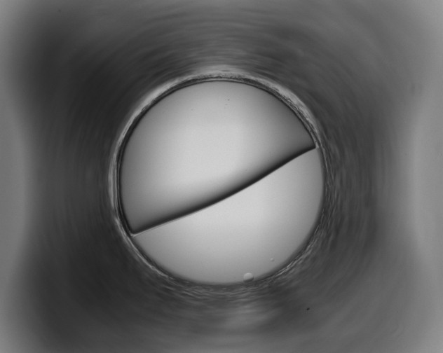 X0000099491295200805150920
