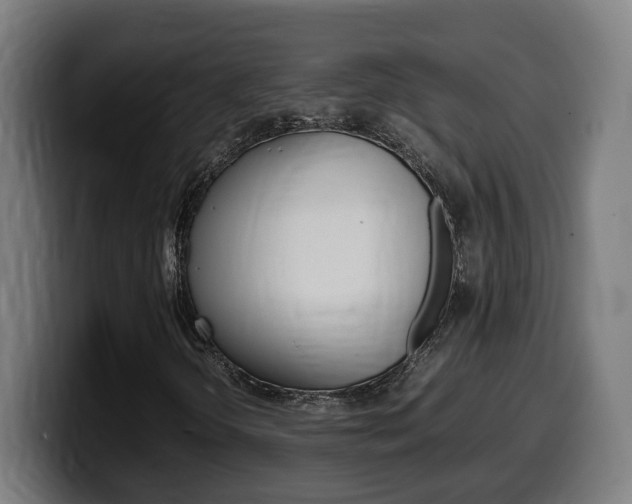 X0000099491298200805150919