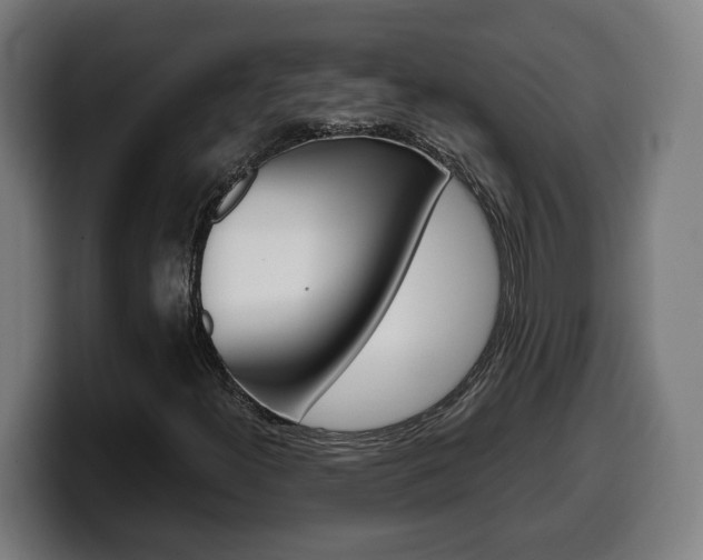 X0000099491300200805150919