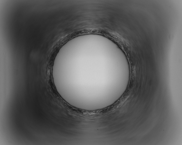 X0000099491302200805150919