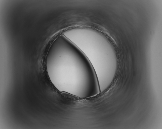 X0000099491304200805150919