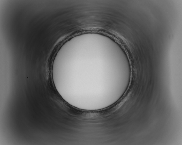 X0000099491306200805150919