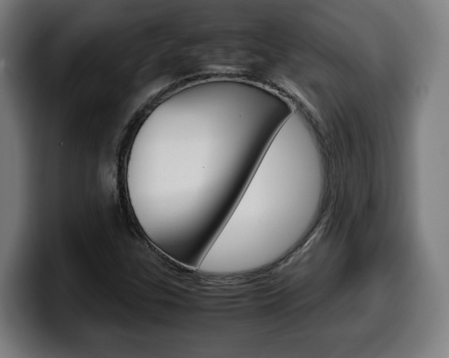 X0000099491307200805150919