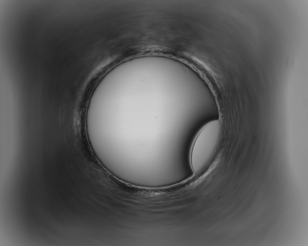 X0000099491309200805150919