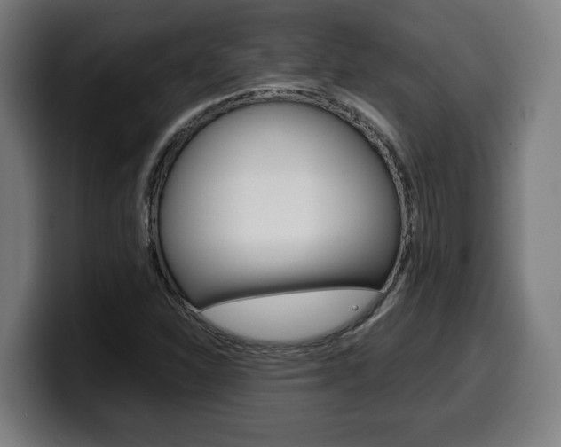 X0000099491310200805150919
