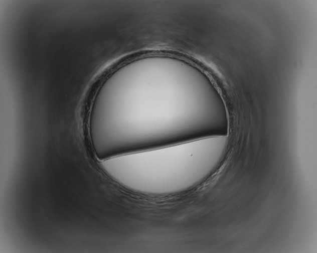 X0000099491311200805150919