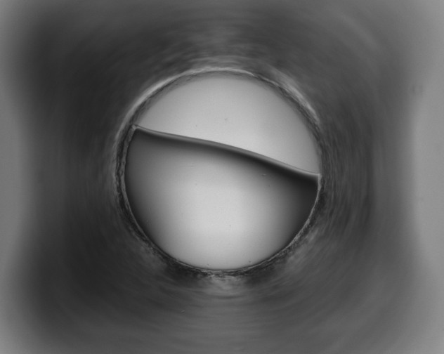 X0000099491312200805150919