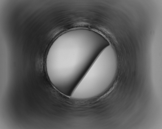 X0000099491313200805150919