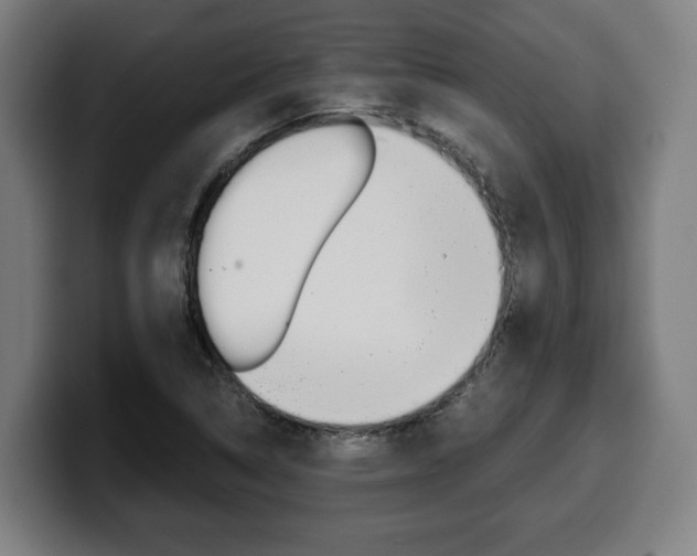 X0000099491314200805150919