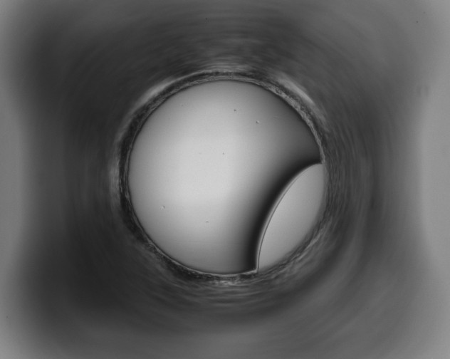 X0000099491315200805150919
