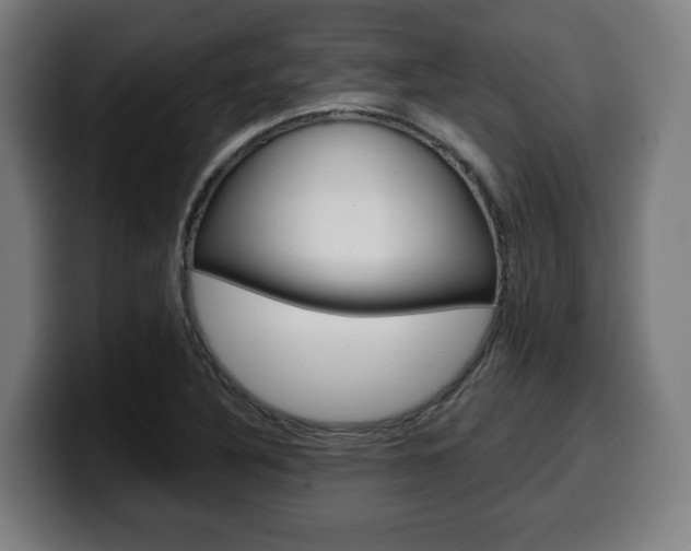 X0000099491316200805150919
