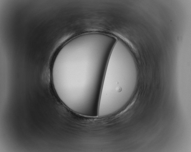X0000099491317200805150919