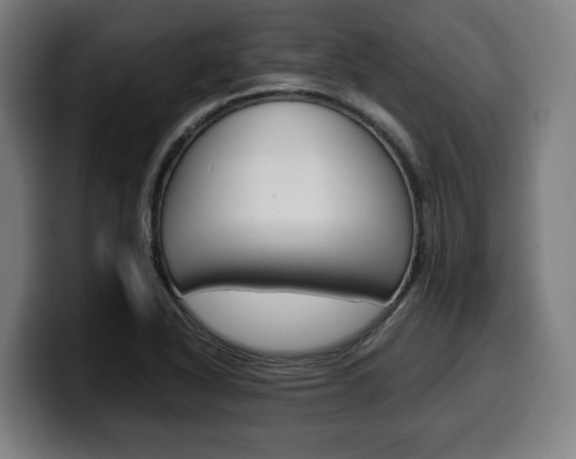 X0000099491318200805150919