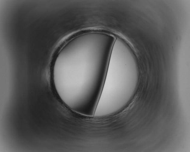 X0000099491319200805150919