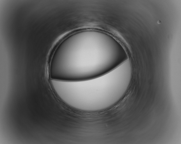 X0000099491320200805150920