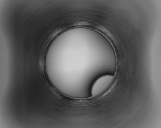X0000099491321200805150920