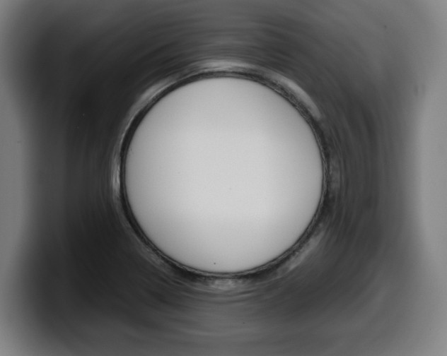 X0000099491322200805150920
