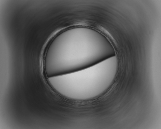 X0000099491323200805150920