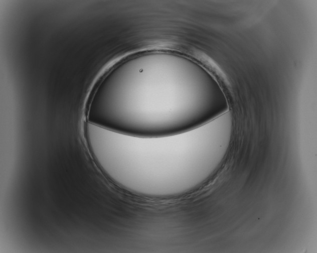 X0000099491324200805150920