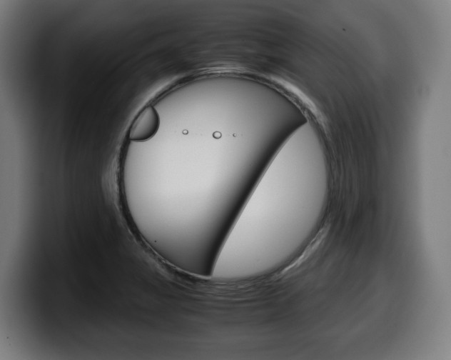 X0000099491325200805150920