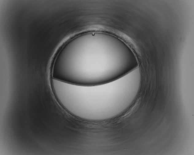 X0000099491326200805150920