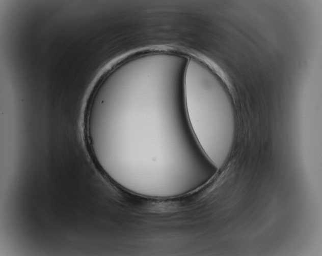 X0000099491327200805150920