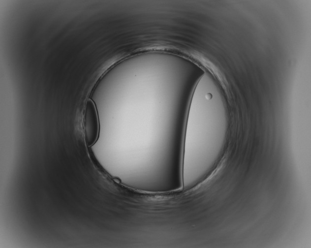 X0000099491329200805150920