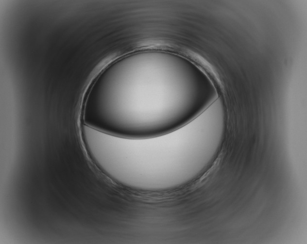 X0000099491330200805150920