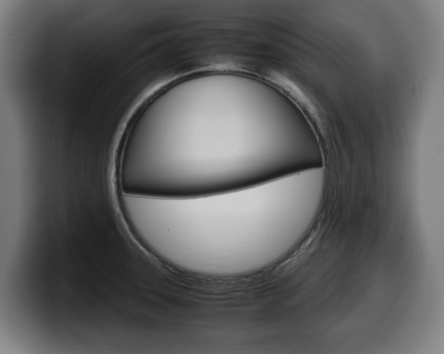 X0000099491331200805150920