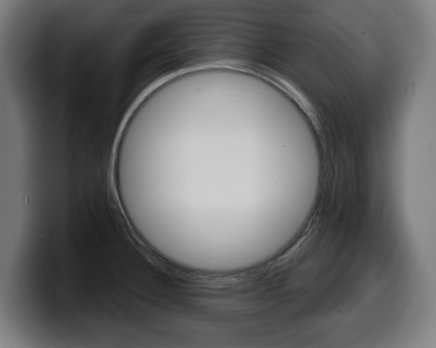 X0000099491332200805150920
