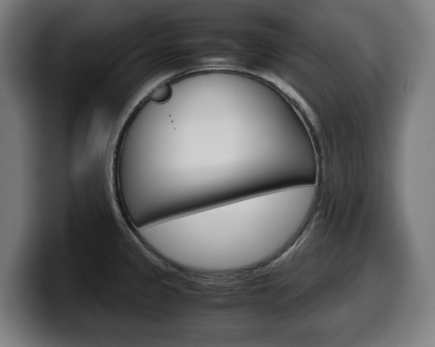 X0000099491333200805150920