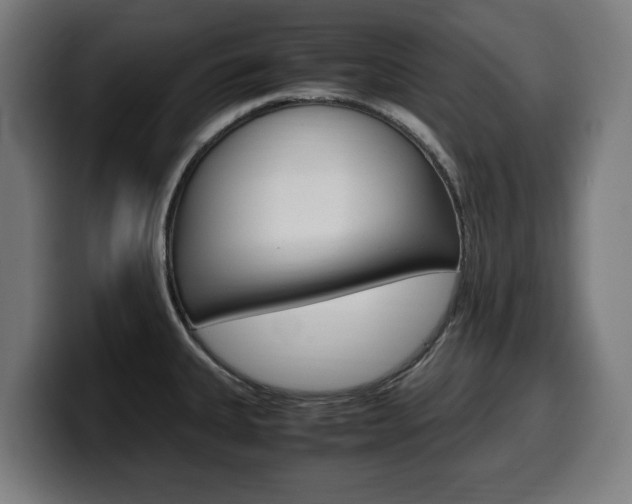 X0000099491335200805150920