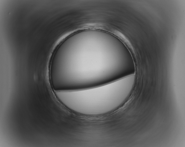 X0000099491336200805150920