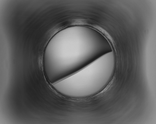 X0000099491337200805150920