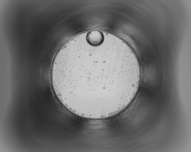 X0000099491338200805150920