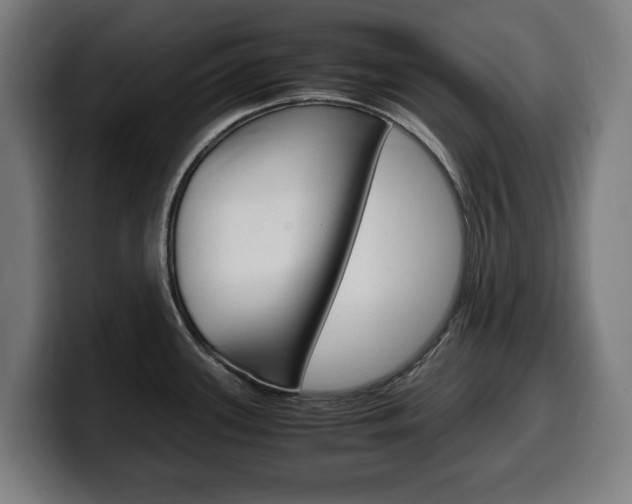 X0000099491339200805150920