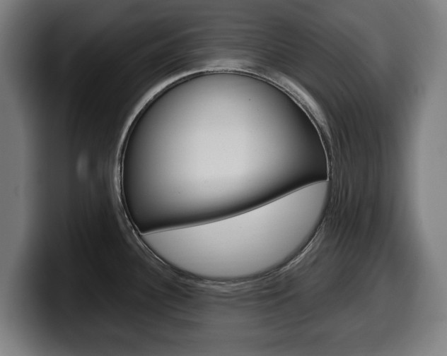 X0000099491340200805150920