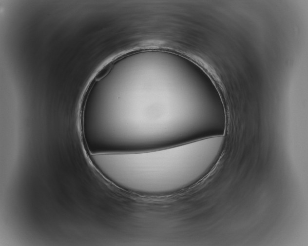 X0000099491342200805150920