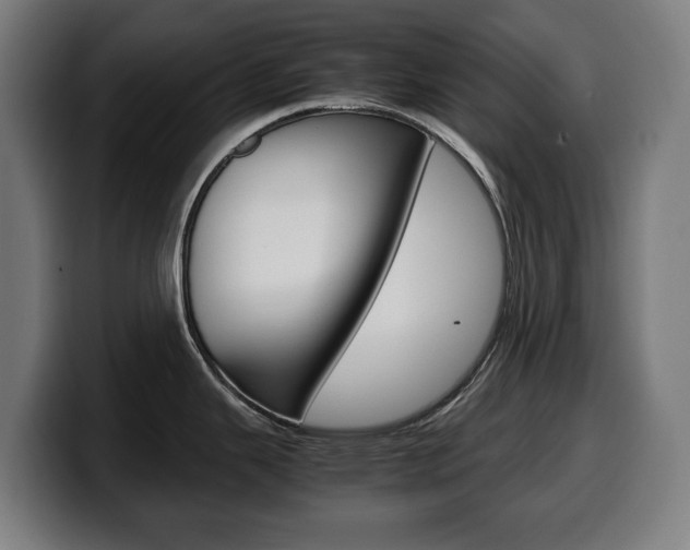 X0000099491343200805150920