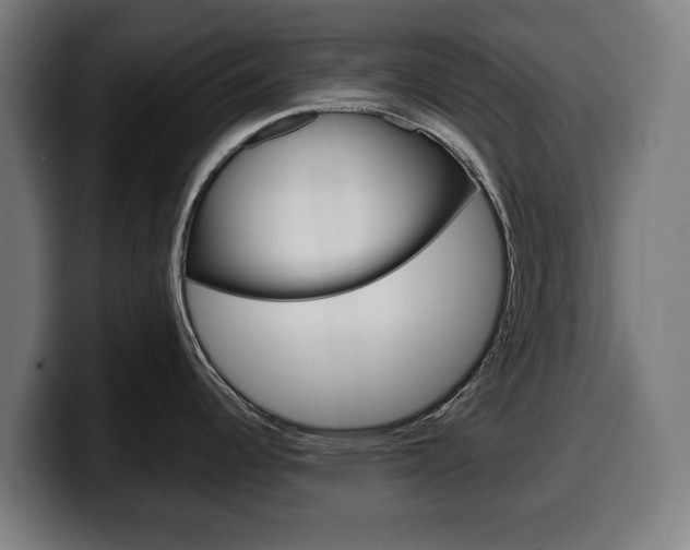 X0000099491344200805150920