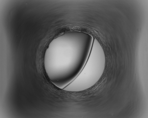 X0000099491345200805150919