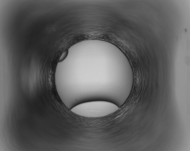 X0000099491346200805150919