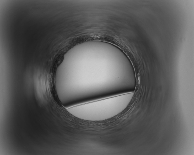 X0000099491347200805150919