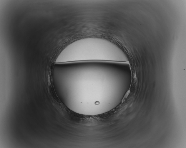 X0000099491348200805150919