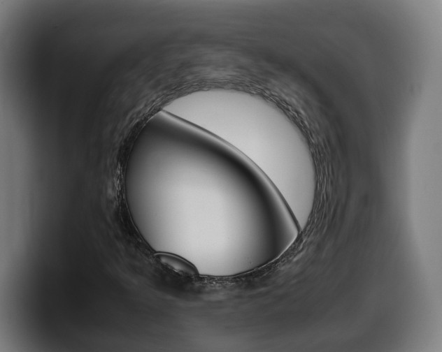 X0000099491349200805150919