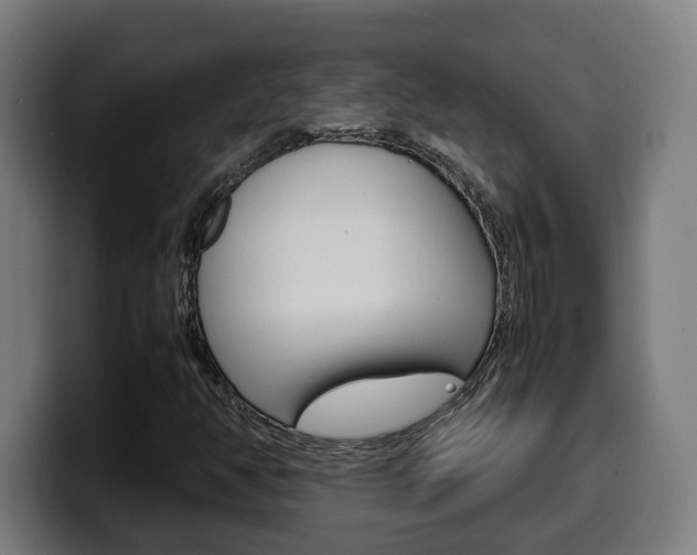 X0000099491350200805150919