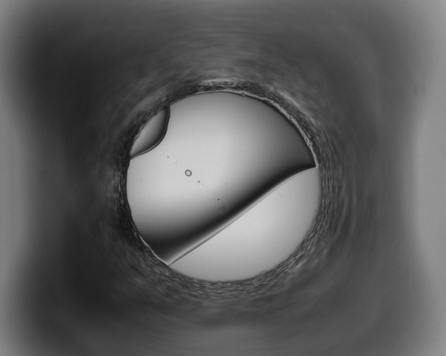 X0000099491351200805150919